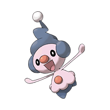 Picture of the author