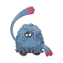 Picture of the author