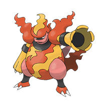 Picture of the author