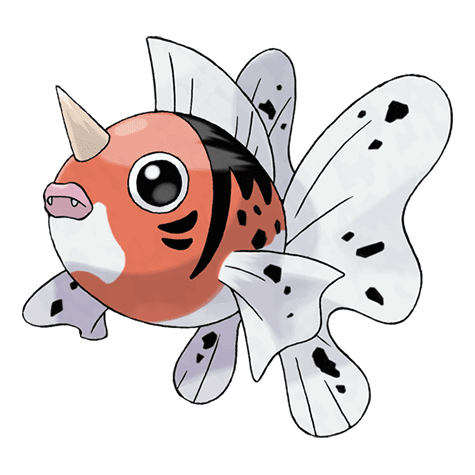 Picture of the author