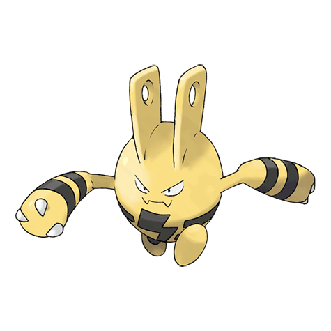 Picture of the author