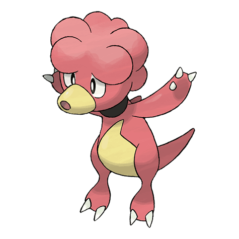 Picture of the author