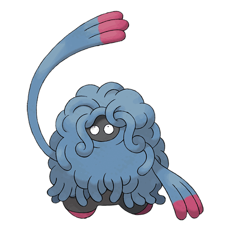 Picture of the author