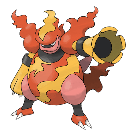 Picture of the author